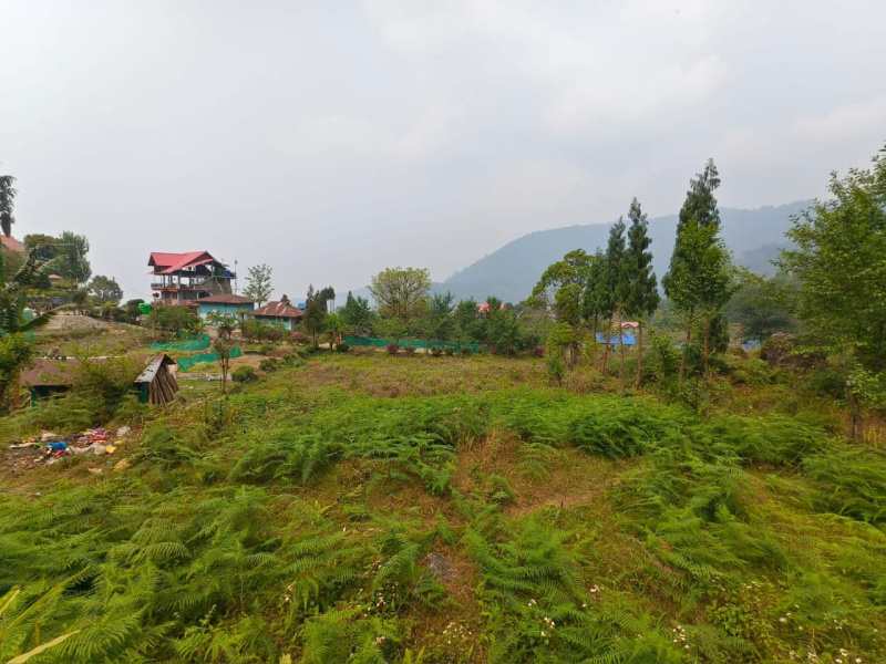  1 Bigha Agricultural/Farm Land for Sale in Lava, Kalimpong