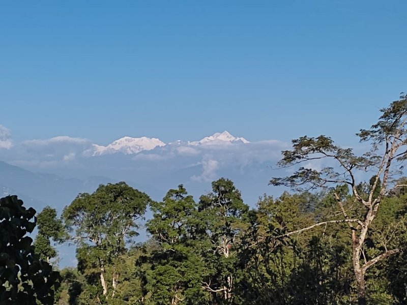  Agricultural Land 4356 Sq.ft. for Sale in Lava, Kalimpong