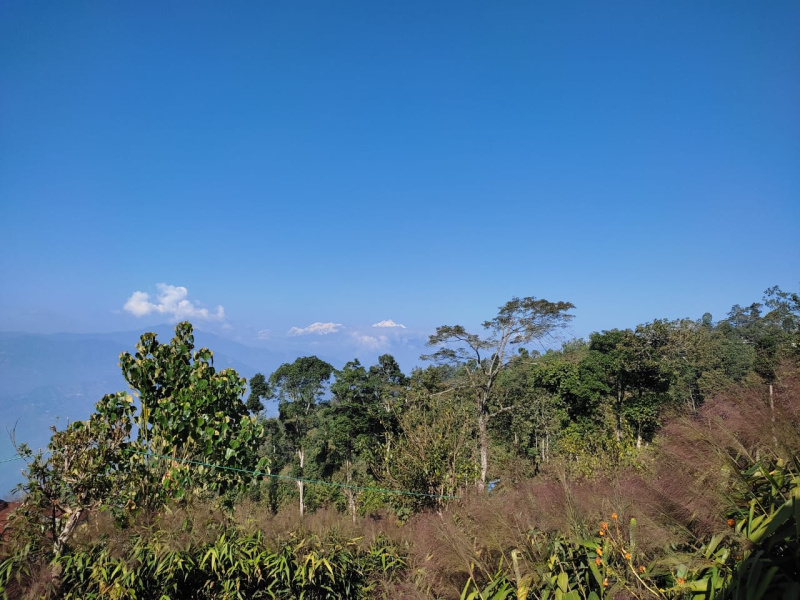 Agricultural Land 4356 Sq.ft. for Sale in Lava, Kalimpong