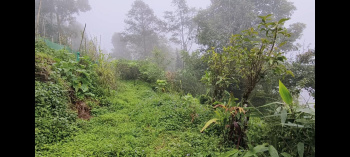  Commercial Land for Sale in Lava, Kalimpong