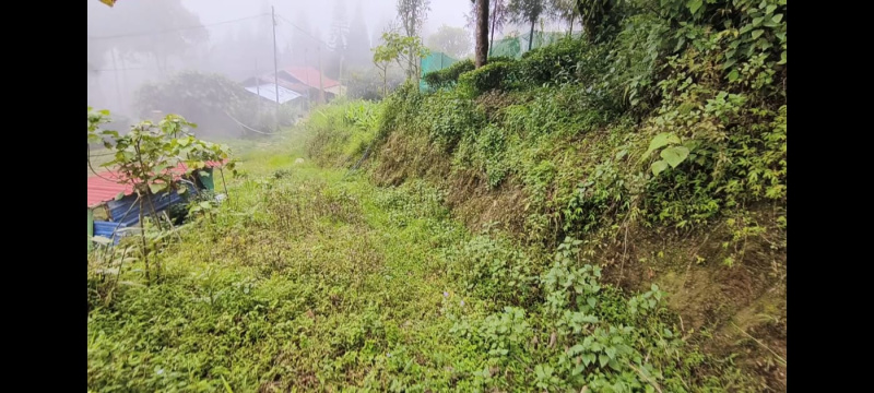  Commercial Land 436 Sq.ft. for Sale in Lava, Kalimpong