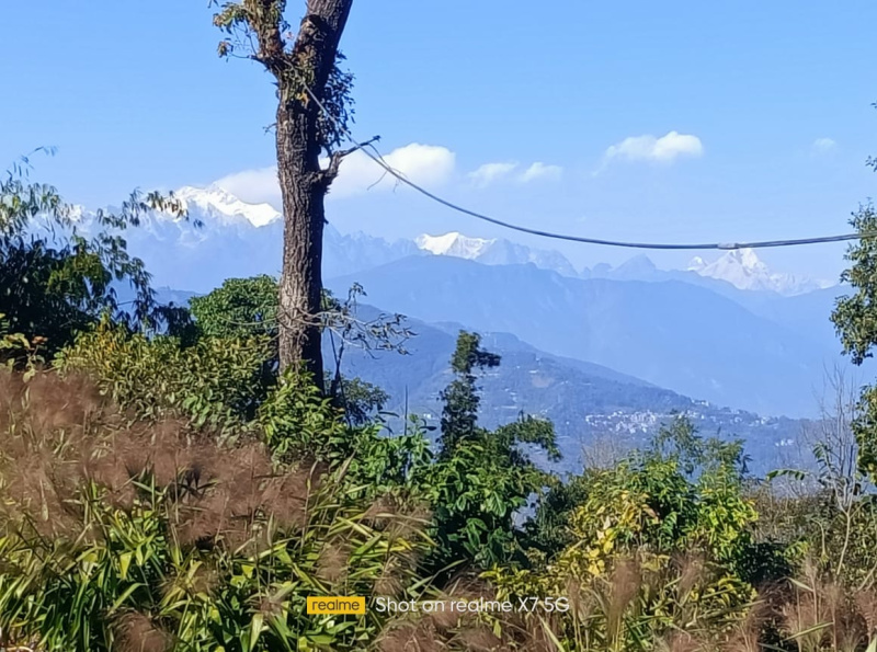 1 Dismil Commercial Land for Sale in Lava, Kalimpong