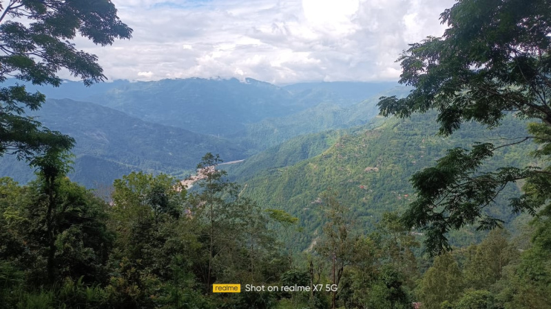 1 Dismil Commercial Land for Sale in Lava, Kalimpong
