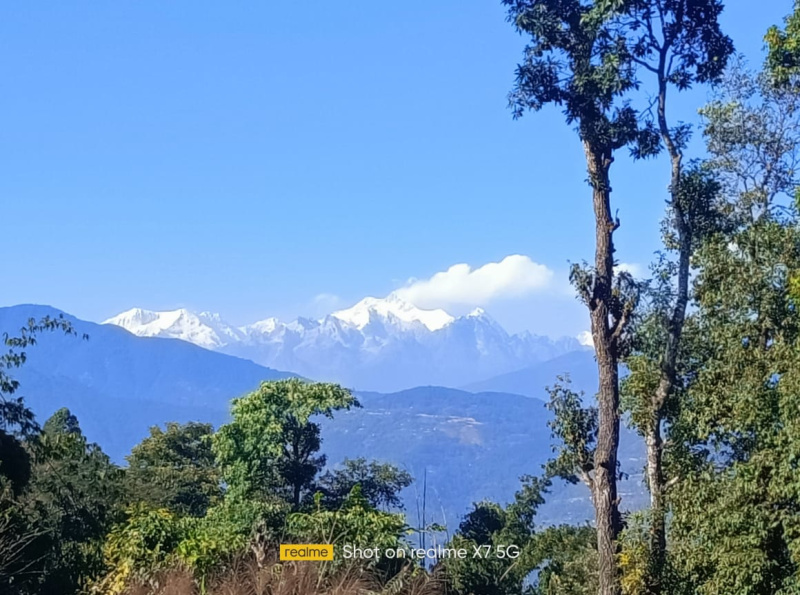 1 Dismil Commercial Land for Sale in Lava, Kalimpong
