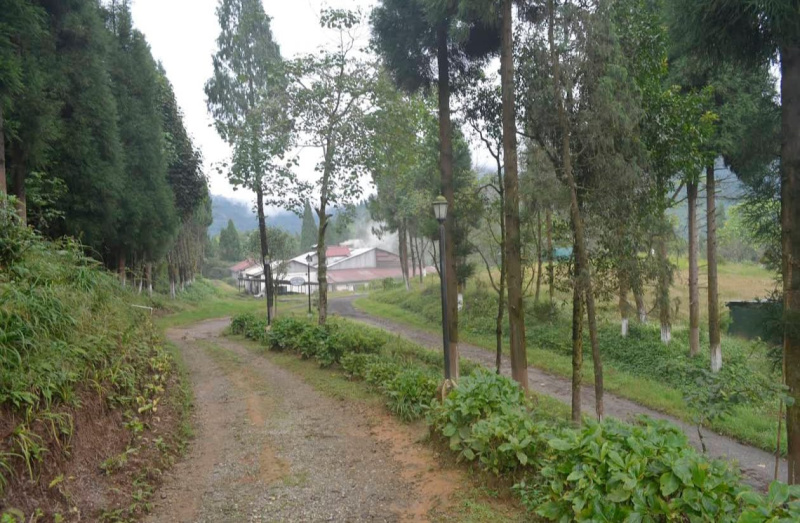  8320 Sq.ft. Hotels for Rent in 8th Mile, Kalimpong