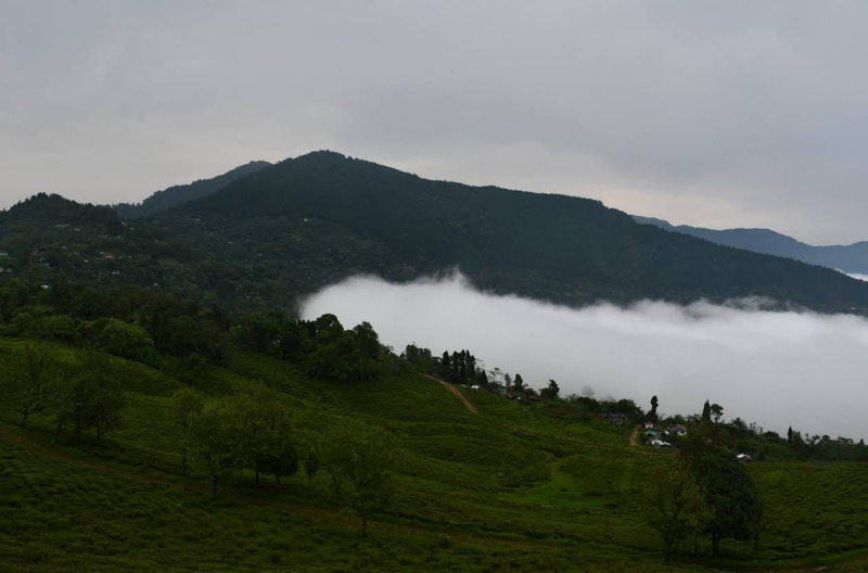  8320 Sq.ft. Hotels for Rent in 8th Mile, Kalimpong