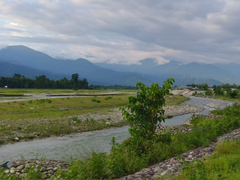  436 Sq.ft. Agricultural/Farm Land for Sale in Dooars, Alipurduar