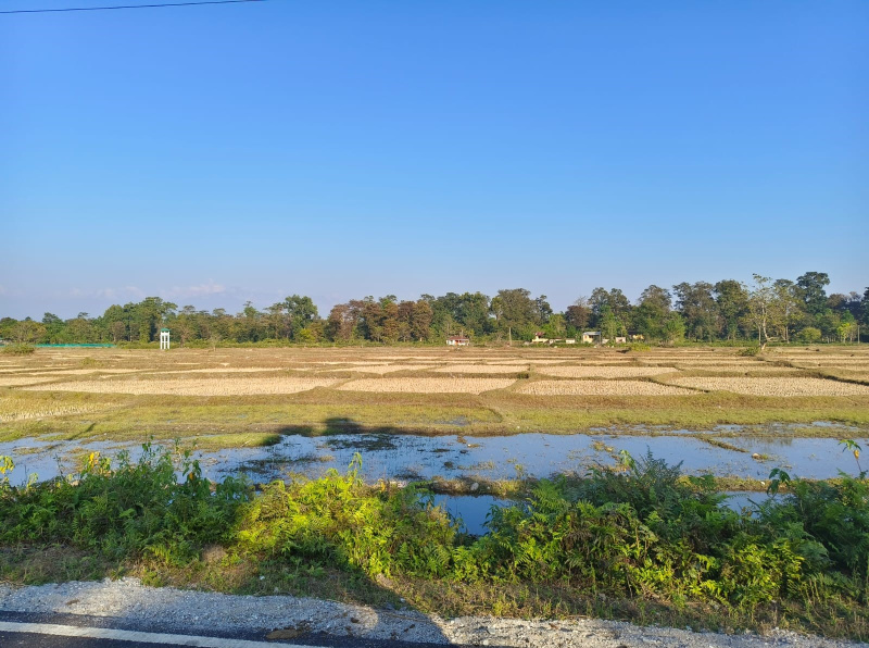  1 Bigha Agricultural/Farm Land for Sale in Lataguri, Jalpaiguri