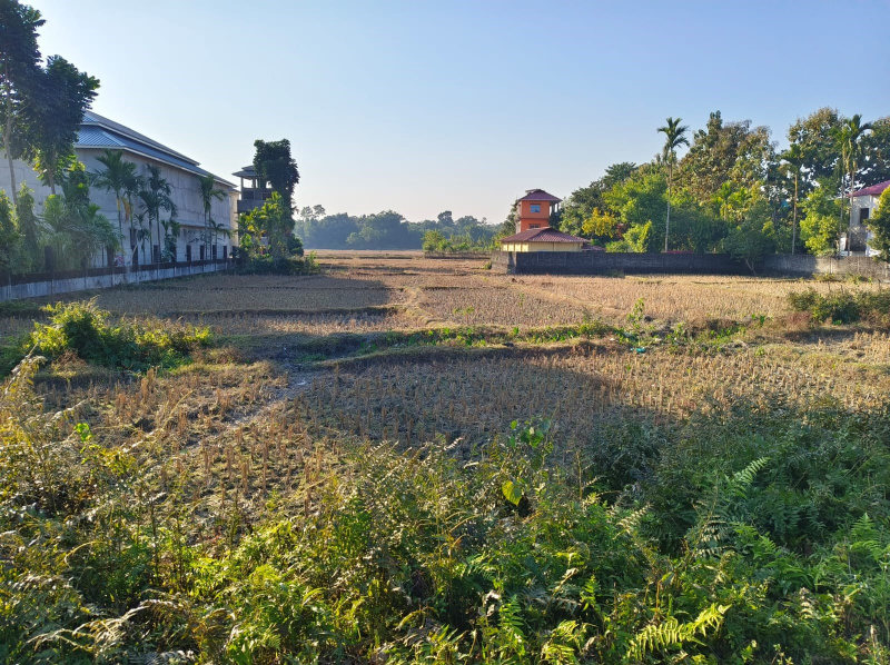  1 Bigha Agricultural/Farm Land for Sale in Lataguri, Jalpaiguri