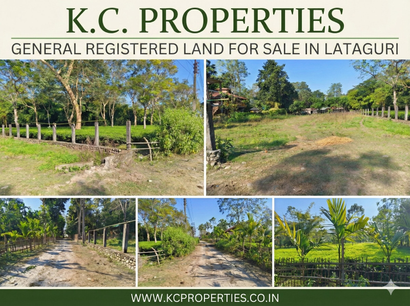  2 Bigha Agricultural/Farm Land for Sale in Lataguri, Jalpaiguri