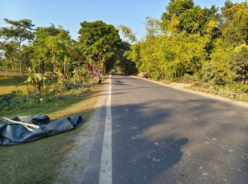  9 Katha Commercial Land for Sale in Lataguri, Jalpaiguri