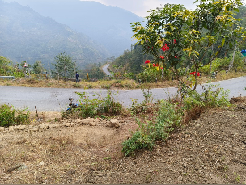  5 Katha Commercial Land for Sale in Lava, Kalimpong