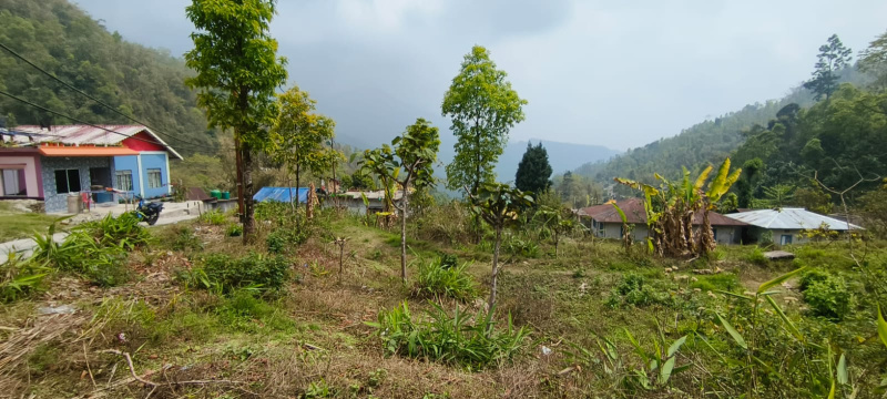  15 Dismil Agricultural/Farm Land for Sale in Lava, Kalimpong