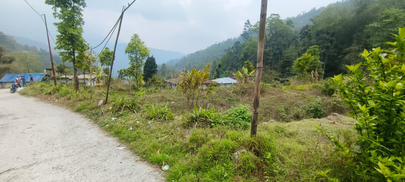  15 Dismil Agricultural/Farm Land for Sale in Lava, Kalimpong
