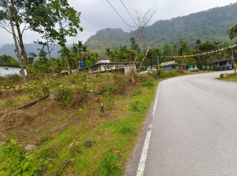  12 Katha Commercial Land for Sale in Lava, Kalimpong