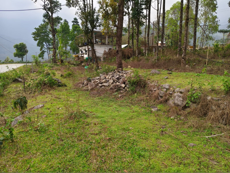 12 Katha Commercial Land for Sale in Lava, Kalimpong