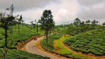  Agricultural Land for Sale in Valparai, Coimbatore