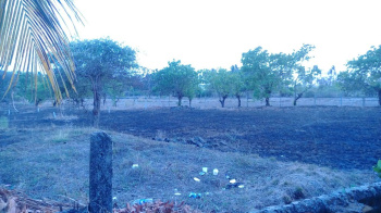  Residential Plot for Sale in Borli, Raigad