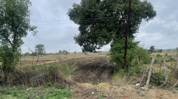  Agricultural Land for Sale in Narmadapuram, Hoshangabad