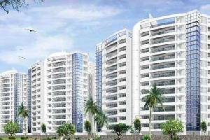 1 BHK Flat for Sale in Wanwadi, Pune