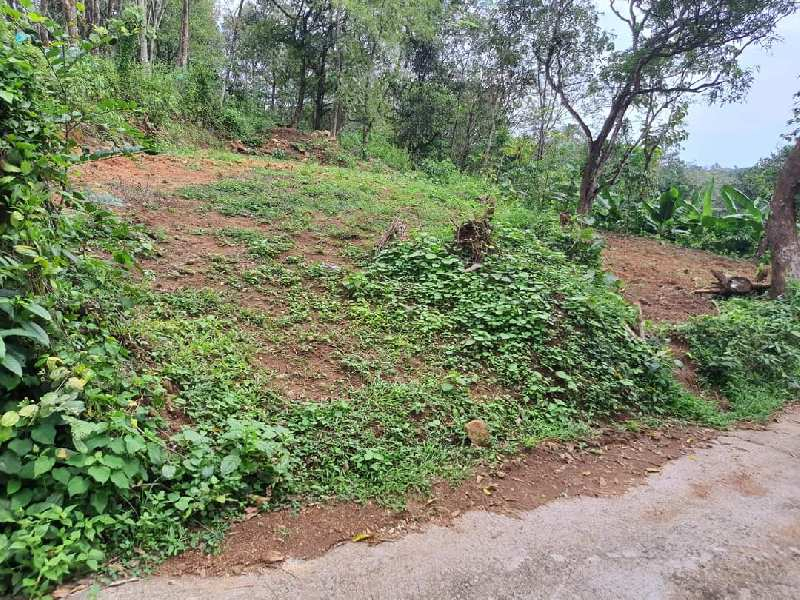 Agricultural Land 26 Cent for Sale in Ayoor, Kollam