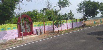  Residential Plot for Sale in Panjapur, Tiruchirappalli