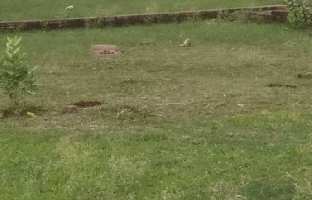  Residential Plot for Sale in Bijnor Road, Lucknow