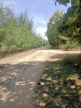  Agricultural Land for Sale in Periyanaickenpalayam, Coimbatore