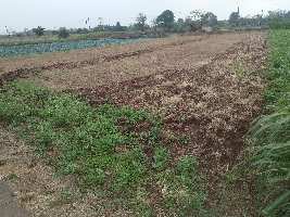  Agricultural Land for Rent in Khed, Pune