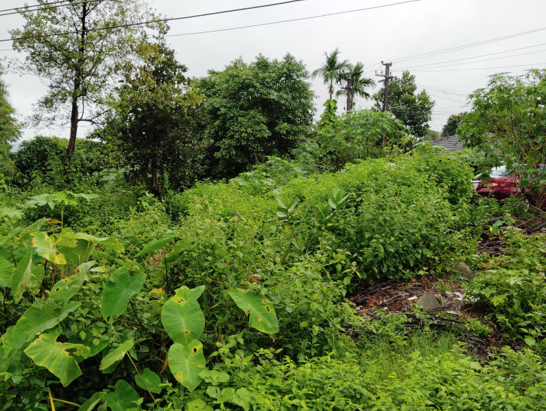  Residential Plot 26000 Sq. Meter for Sale in Saipem, North Goa, 