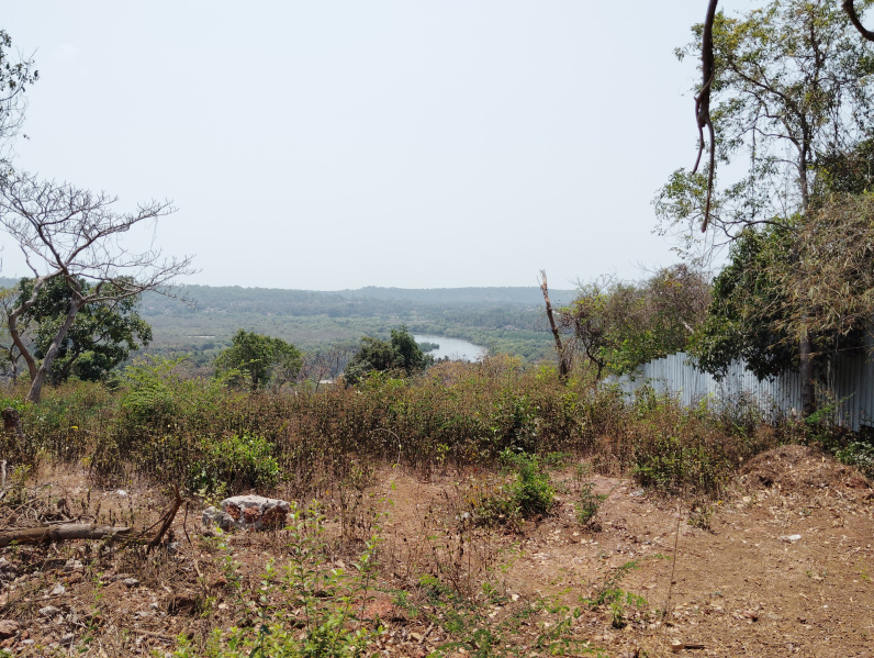  Residential Plot 26000 Sq. Meter for Sale in Saipem, North Goa, 