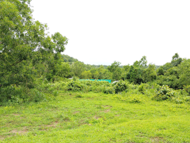  Residential Plot 8675 Sq. Meter for Sale in Pernem, Goa