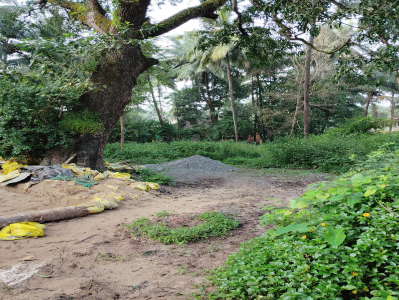  Residential Plot 584 Sq. Meter for Sale in Canca, Mapusa, Goa