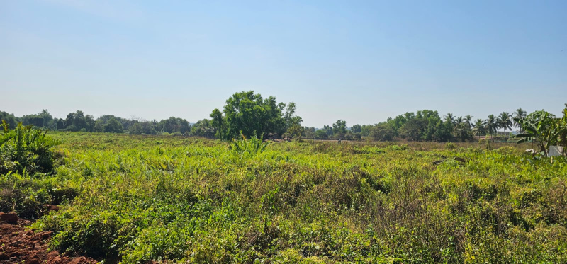 Residential Plot 1250 Sq. Meter for Sale in Tivim, North Goa, 