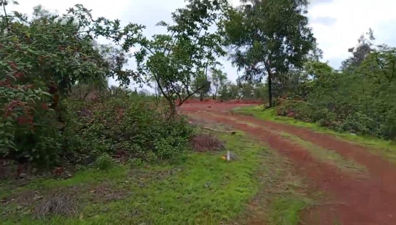  Residential Plot 350000 Sq.ft. for Sale in Tivim, North Goa, 