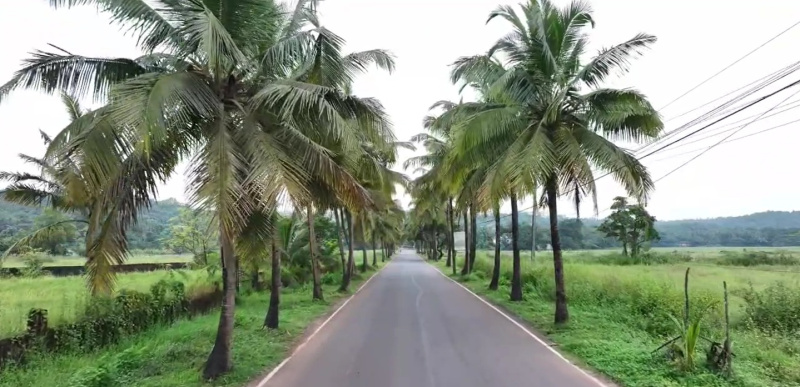 4 BHK Villa 5351 Sq.ft. for Sale in Pilerne, North Goa, 