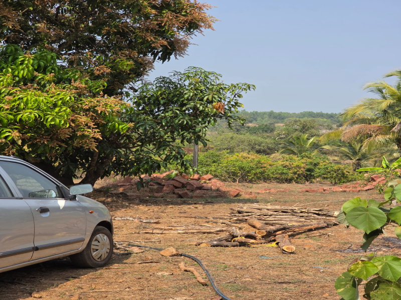 1 BHK 28000 Sq. Meter Farm House for Sale in Sawantwadi, Sindhudurg