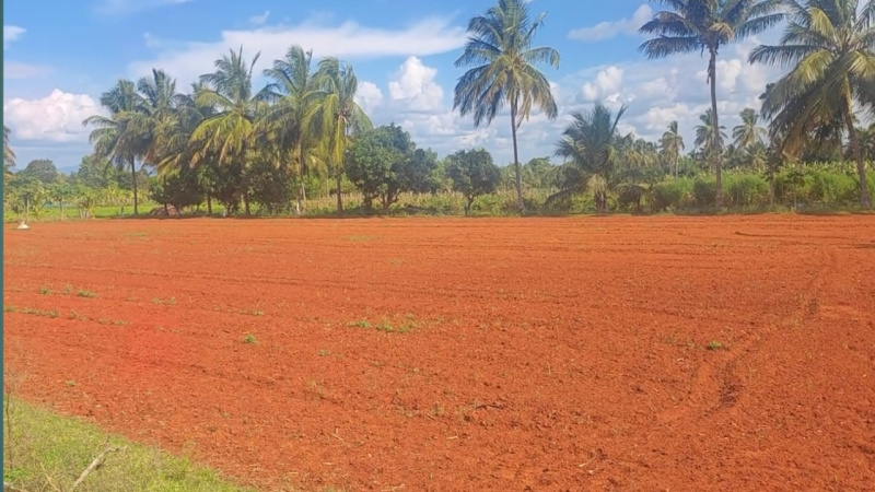  Agricultural Land 2 Acre for Sale in Kanakapura Road, Bangalore