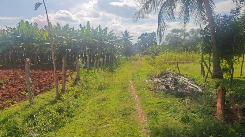  Agricultural Land 2 Acre for Sale in Kanakapura Road, Bangalore