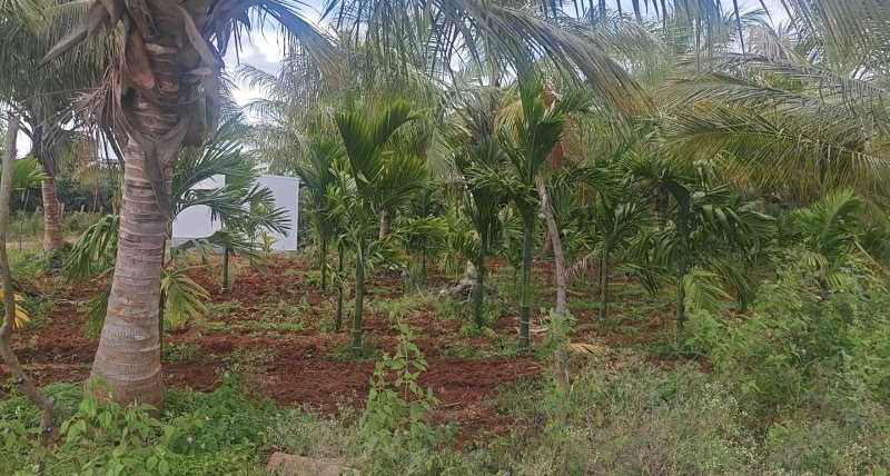  Agricultural Land 1 Acre for Sale in Mysore Road, Bangalore
