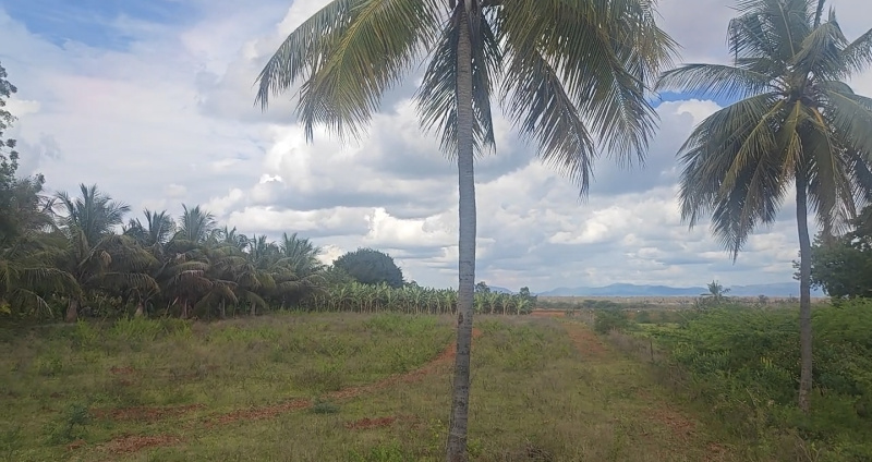  Agricultural Land 1 Acre for Sale in Mysore Road, Bangalore