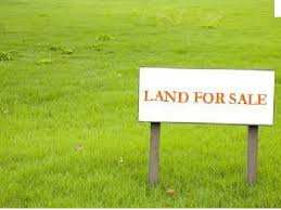 Agricultural Land 100 Bigha for Sale in Ajeetgarh, Sikar