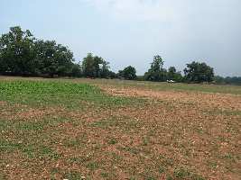  Agricultural Land for Sale in Gurundia, Sundergarh