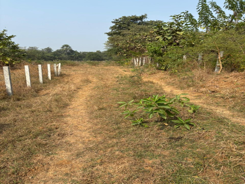  Agricultural Land 30 Guntha for Sale in Kelwa Palghar, Mumbai