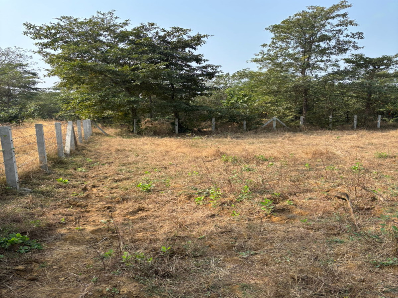  Agricultural Land 30 Guntha for Sale in Kelwa Palghar, Mumbai