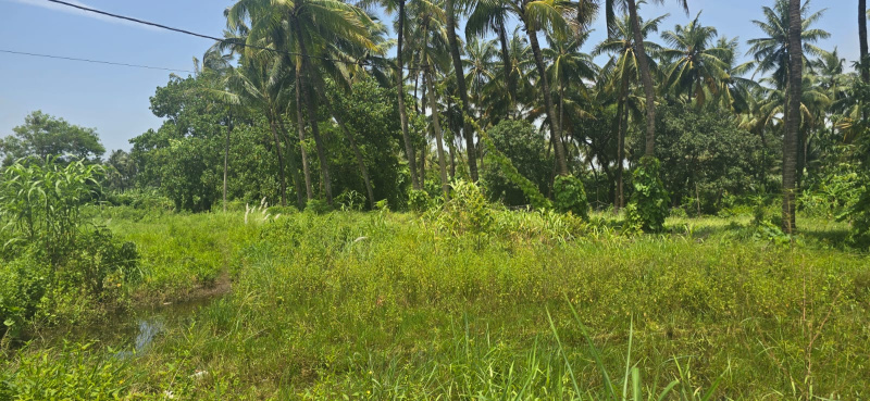  18 Guntha Agricultural/Farm Land for Sale in Agashi Road, Virar West, Mumbai