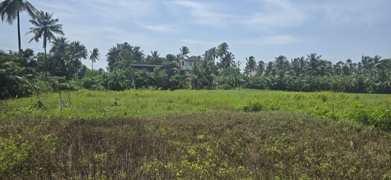  18 Guntha Agricultural/Farm Land for Sale in Agashi Road, Virar West, Mumbai