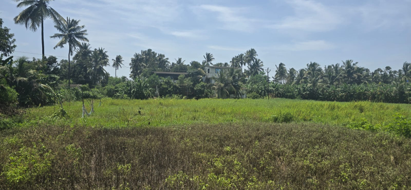  18 Guntha Agricultural/Farm Land for Sale in Agashi Road, Virar West, Mumbai