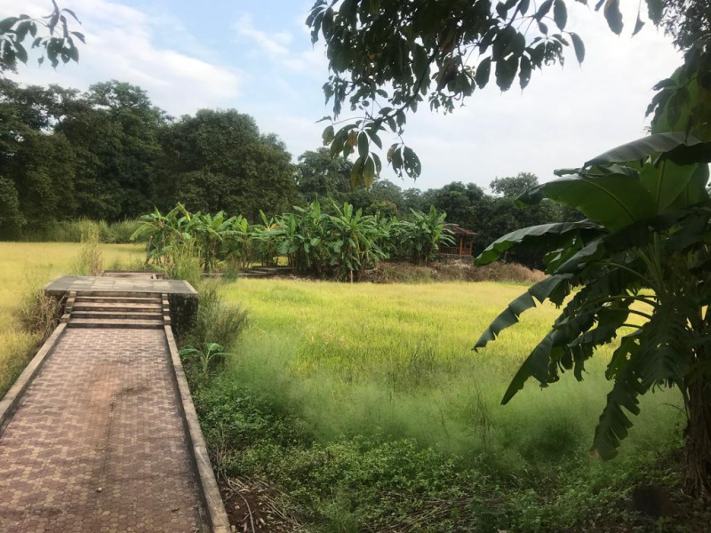 13 Acre Agricultural/Farm Land for Sale in Western Express Highway, Andheri East, Mumbai