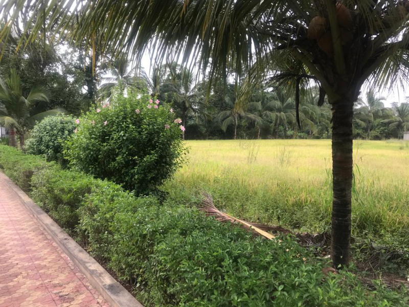  13 Acre Agricultural/Farm Land for Sale in Western Express Highway, Andheri East, Mumbai